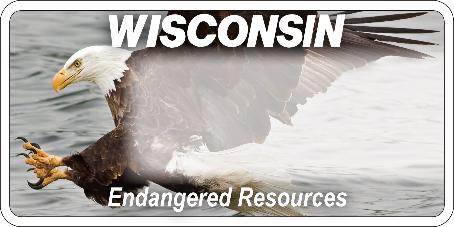 ENDANGERED RESOURCES EAGLE (FORMERLY BADGER)