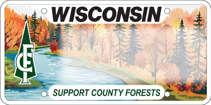 WISCONSIN COUNTY FOREST ASSOCIATION